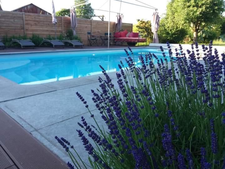 Bed and Breakfast Secret d'une Nuit à Valenciennes Extérieur photo